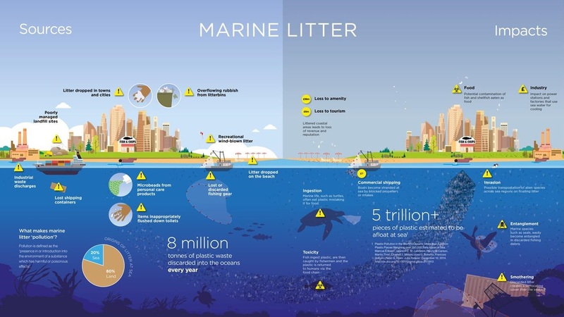 Marine Litter